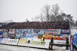 SVMFCH04.jpg