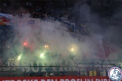 mainz_9n.jpg