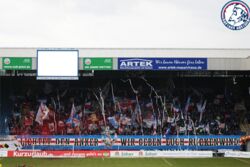 mainzheim_4.jpg