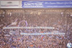 FCH_HSV_31.jpg