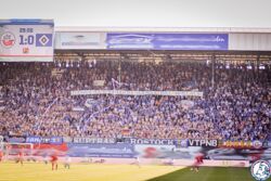 FCH_HSV_34.jpg
