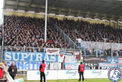 cottbusausw_9e.jpg