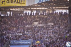 FCH_HSV_35.jpg