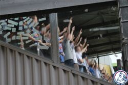 mainz_7.jpg